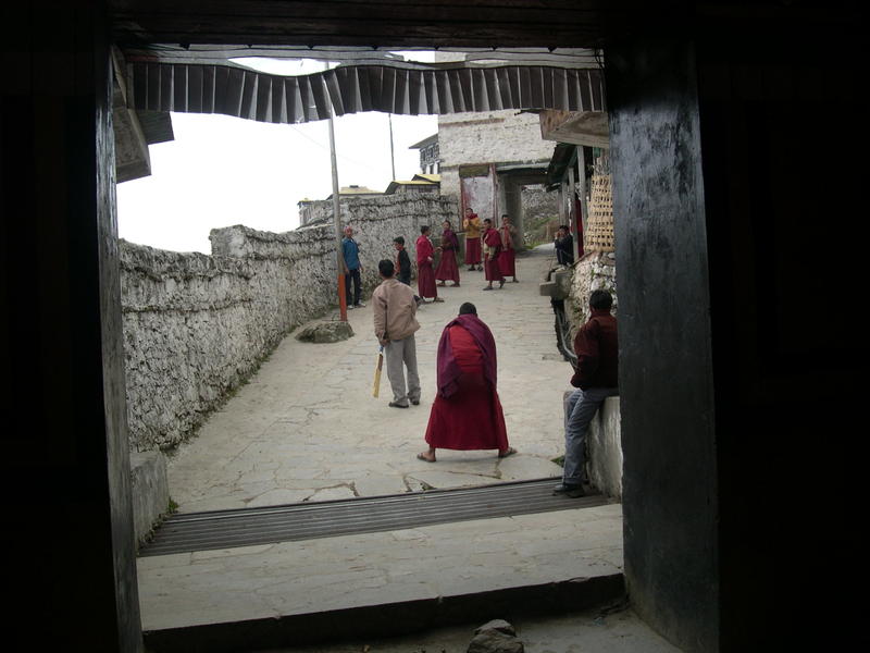 Cricket time at the Tawang Monastery.jpg