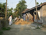 north-east-lover-i-wish-to-share-experiences-majuli-marco-osserva-il-contadino-e-la-sua-mucca-al-lavoro-sull-aia..jpg