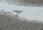 identification-p1040430-copie.jpg