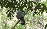 identification-p1030588-copie.jpg