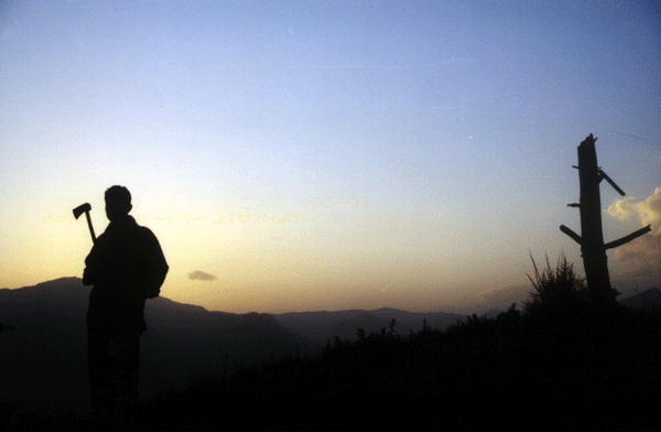 http://www.indiamike.com/india/attachments/9948d1240761995-chardham-plan-please-comment-and-also-axe-man-in-hills.gif
