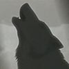hbvivek's Avatar