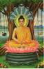 rajpurohit's Avatar