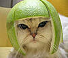 tinasia's Avatar
