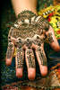 Shannan02's Avatar