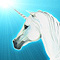 fluffyneil's Avatar