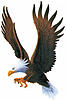 ironside's Avatar