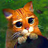 InspectorFox's Avatar