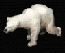 aussie bear's Avatar