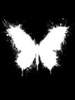 Miss Butterfly1984's Avatar