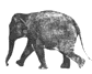 pkalra's Avatar