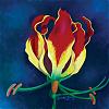 anu_k's Avatar