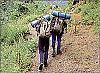 cochin_hp's Avatar