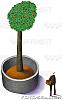 man-go-tree's Avatar