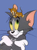 SnehalR's Avatar