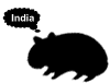 dreamingwombat's Avatar