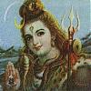tararn's Avatar