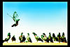 Pradeep Nayak's Avatar