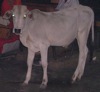 zorts's Avatar