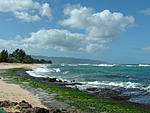 Alohaguy's Avatar