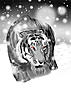 cool.arctic's Avatar