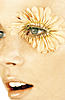 loladoes's Avatar