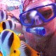 Globetrotters's Avatar