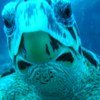 darthmilmo's Avatar