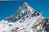 Himalayan boy's Avatar