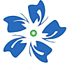 flyingstars's Avatar