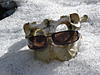 Adventures Anil's Avatar