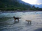 livinhimalayas's Avatar