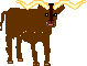Texan1's Avatar