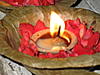 tulsi's Avatar