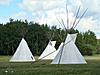 Saulteaux_woman's Avatar