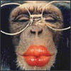 M_Hampson's Avatar