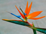 amdtraveller's Avatar