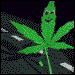 ananda2193's Avatar