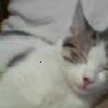 clairet's Avatar