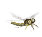 abhi1827's Avatar