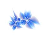 souviknet's Avatar