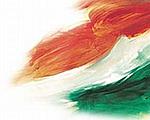 souviknet's Avatar