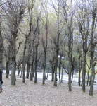ash16783's Avatar
