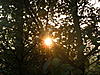 ~sunrise~'s Avatar