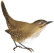 pakhee's Avatar