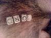 word's Avatar