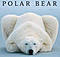 PolarBear