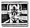 trvl_in's Avatar