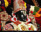kimbalaji's Avatar