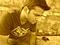 shreepal's Avatar